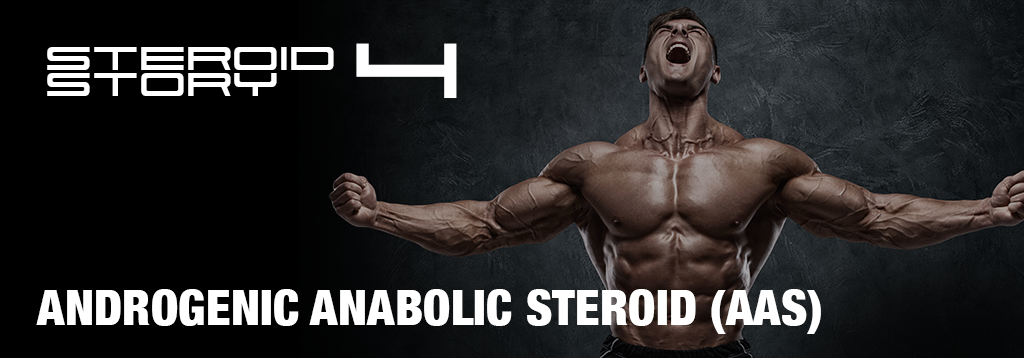 Bodytech, Steroid, anabolic, steroid cycle, beginer steroid 